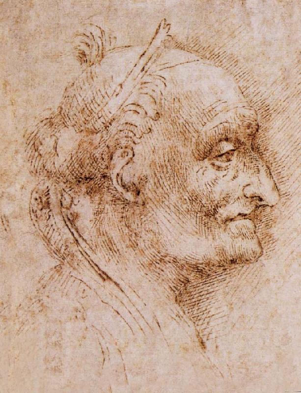 LEONARDO da Vinci Aurelio Luini attributed, profile of an old man oil painting picture